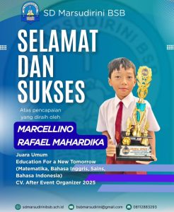 Read more about the article Juara umum Education For a New Tomorrow (Matematika, Bahasa Inggris, Sains dan Bahasa Indonesia) CV. After Event Organizer 2025