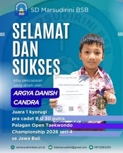 Read more about the article Juara 1 Kyorugi Pra Cadet B U 30 Putra Palagan Open Taekwondo Championship 2026 seri 4 se Jawa Bali