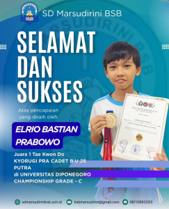 Read more about the article Juara 1 Tae Kwon Do KYORUGI PRA CADET B U 28 Putra di Universitas Diponegoro Championship Grade – C
